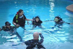 Discover Scuba Diving, Blue Orchid Resort